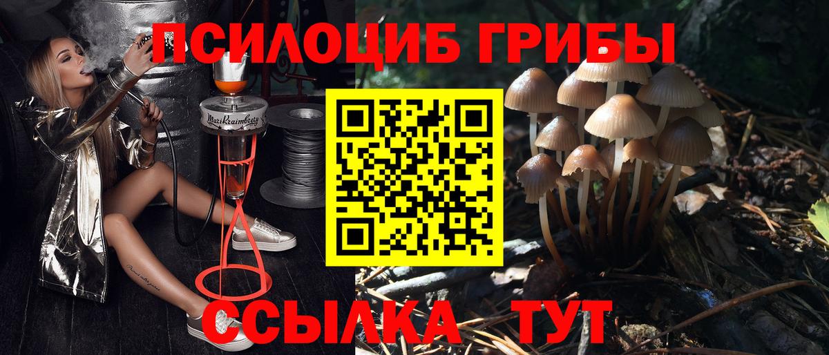 Галлюциногенные грибы прущие грибы  где продают наркотики  Звенигород  Галлюциногенные грибы мухоморы  Вход с VPN 
