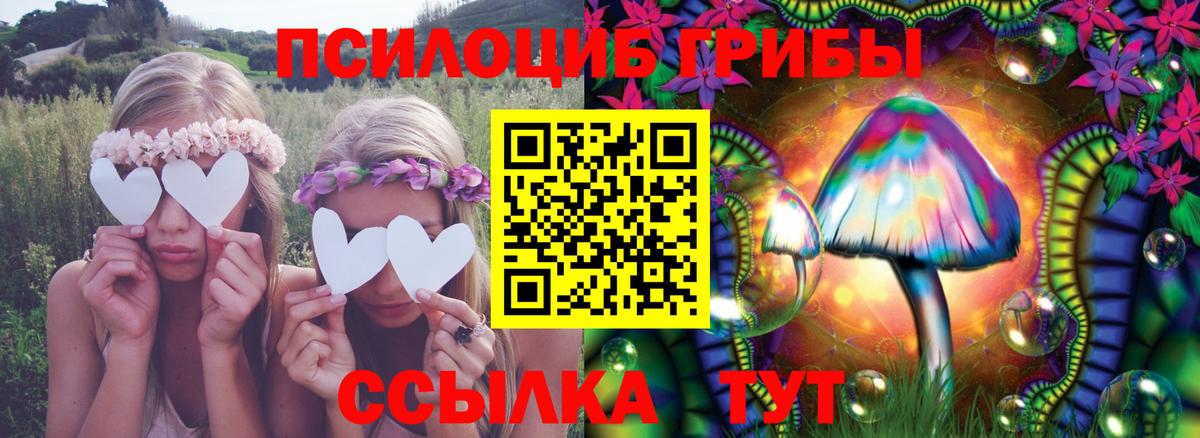 Галлюциногенные грибы ЛСД Звенигород